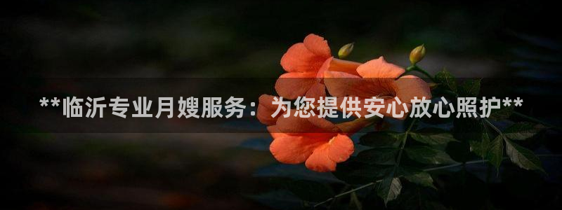 杏悦平台官网注册