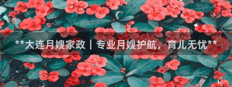 杏悦平台可靠吗是真的吗知乎