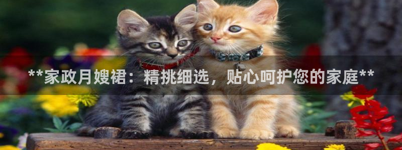 杏悦平台招商电话号码