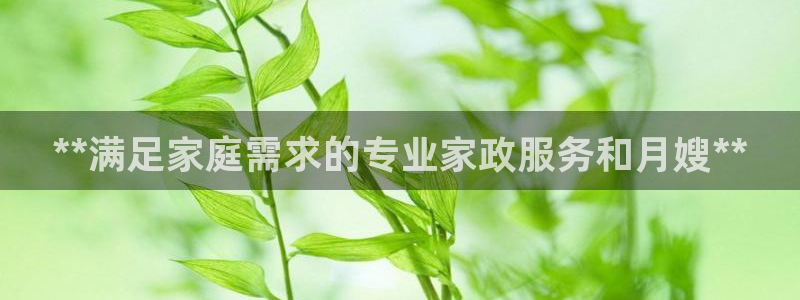 杏悦平台代理怎么样赚钱