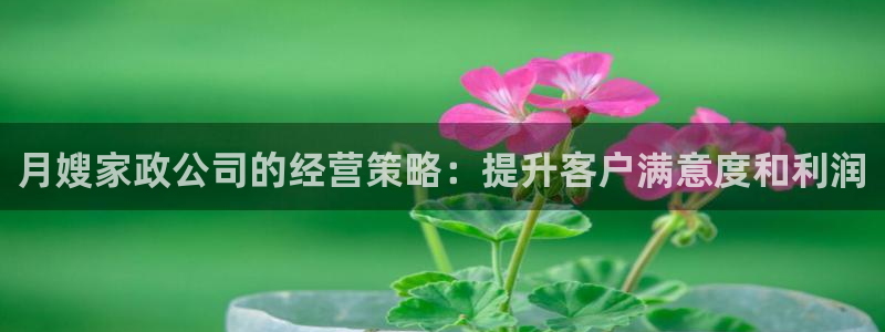 杏悦总代理