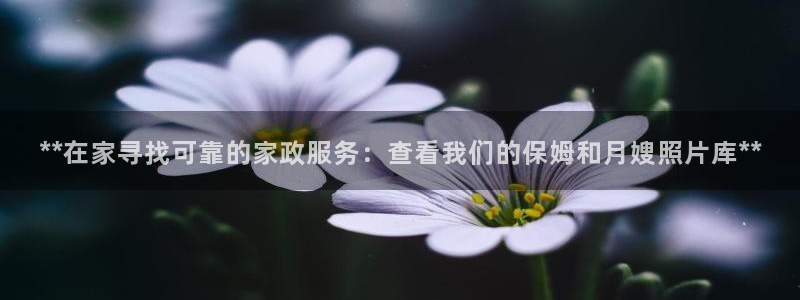 杏悦平台代理