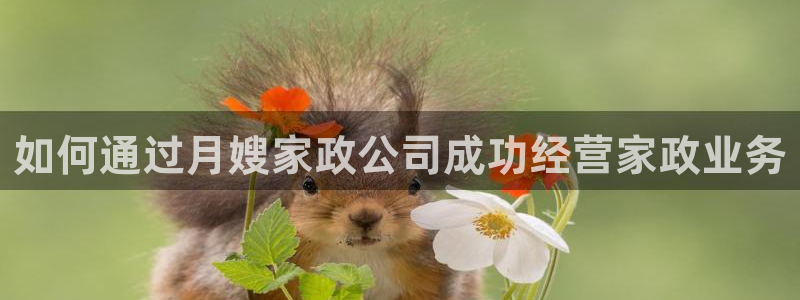 杏悦平台地址