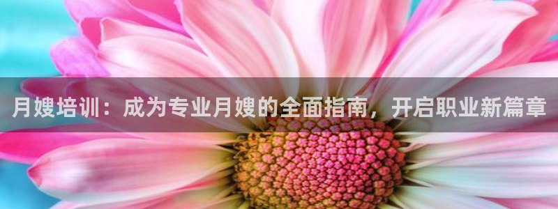 杏悦登陆地址