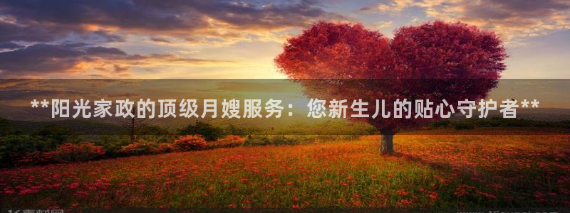 杏悦平台开户地址在哪里