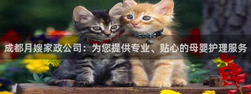 杏悦平台招商怎么样