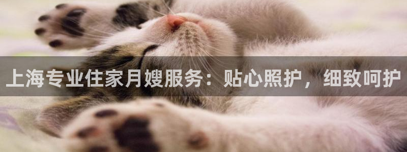 杏悦平台代理多少钱