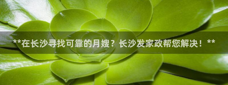 杏悦总代理