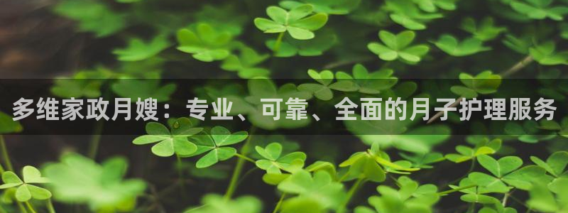 杏悦平台主管