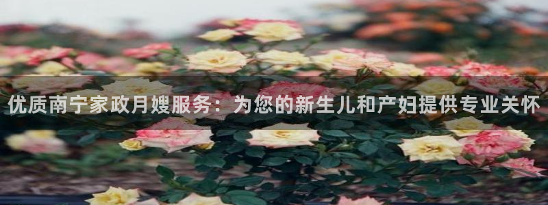 杏悦是什么平台
