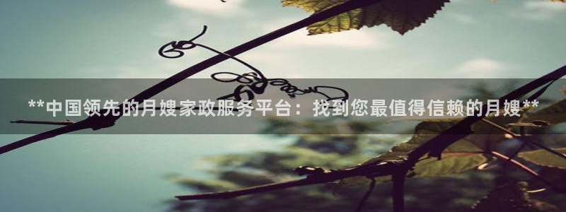 杏悦官方平台官网入口