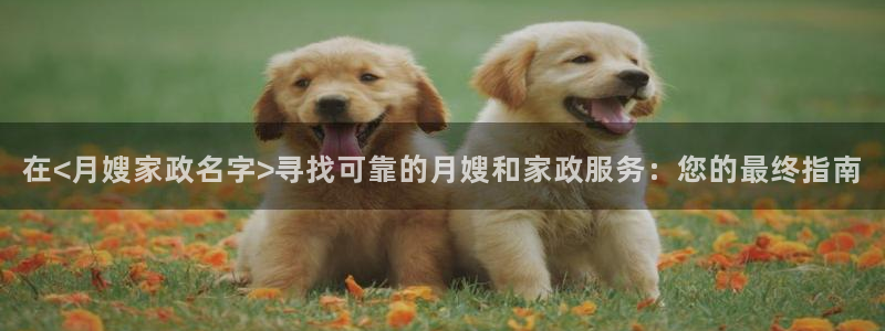 杏悦1招商地址