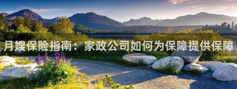 杏悦平台登录网址