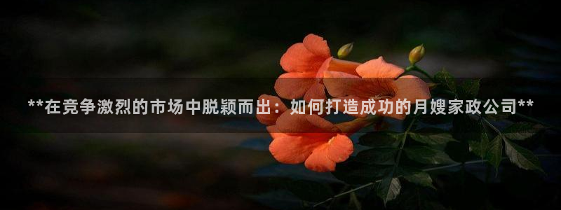 杏悦登入