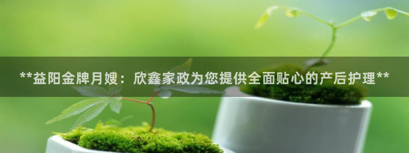 杏悦平台代理怎么做