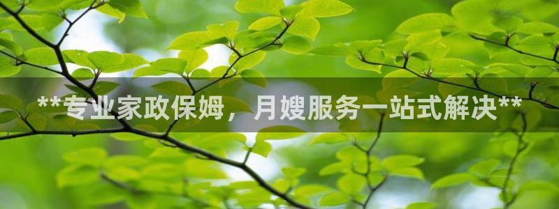 杏悦平台登录网址是多少