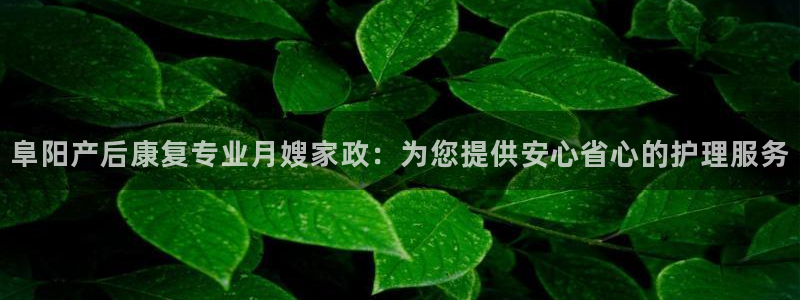 杏悦平台地址