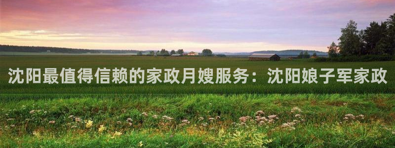 杏悦平台代理多少钱