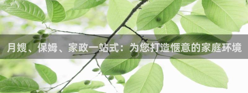 杏悦平台可靠吗可信吗