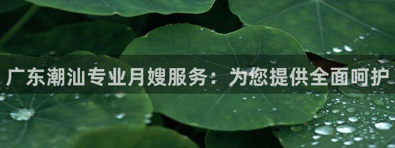 杏悦地址