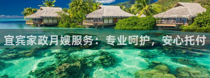 杏悦平台开户地址