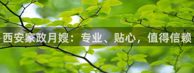 杏悦平台代理怎么样