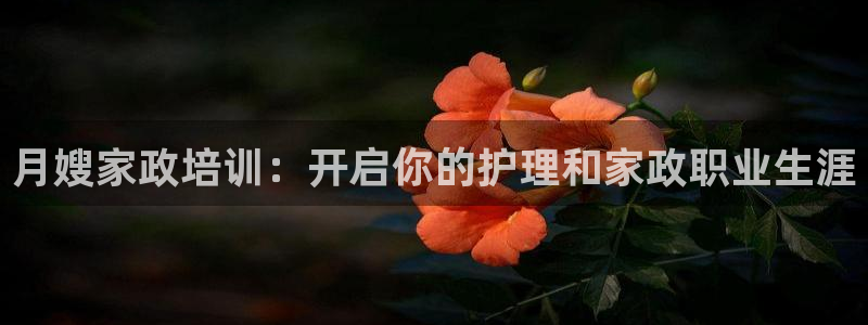 杏悦平台登录网址查询
