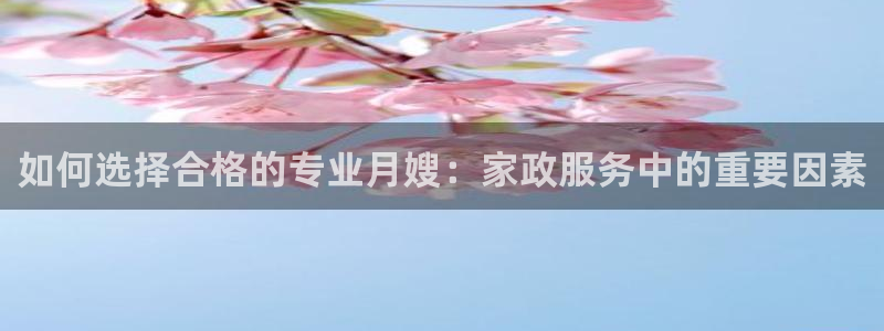 杏悦招商地址
