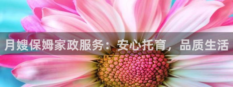 杏悦娱乐注册平台
