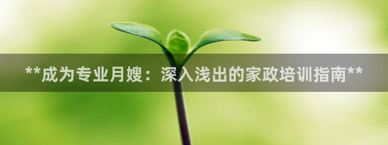 杏悦平台可靠吗是真的吗知乎