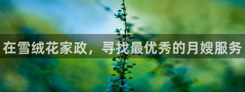 杏悦平台登录网址