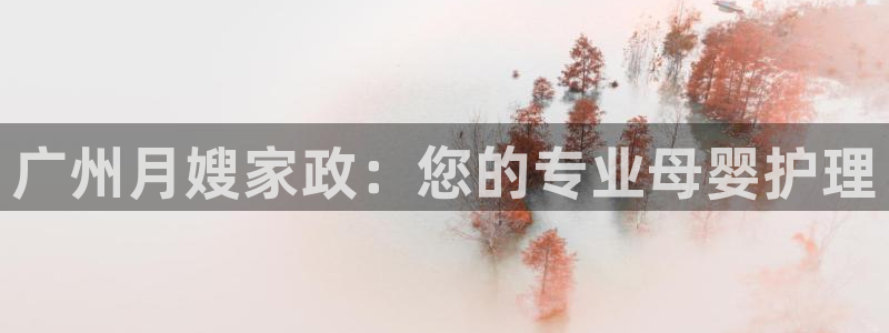 杏悦平台注册流程