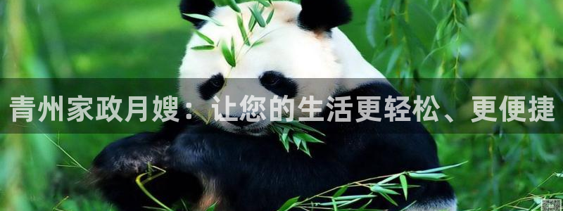 杏悦娱乐怎么玩