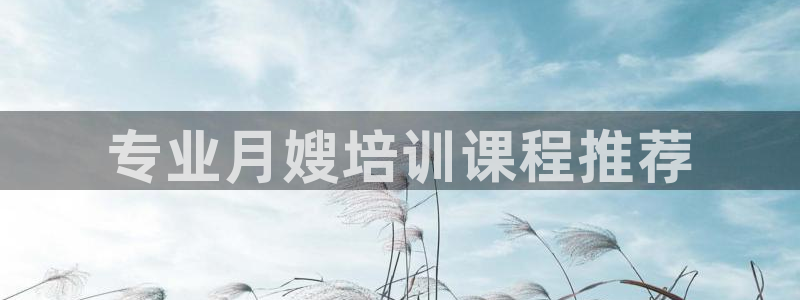 杏悦总代理