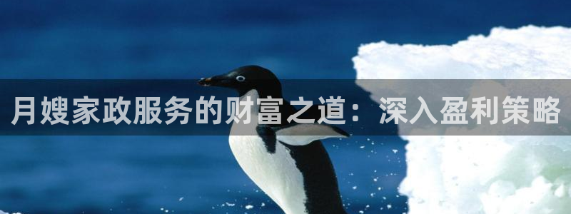 杏悦平台代理怎么做的