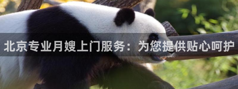 杏悦平台招商电话号码