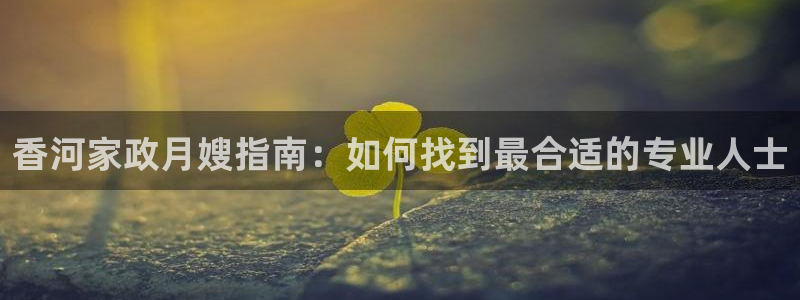 杏悦主管