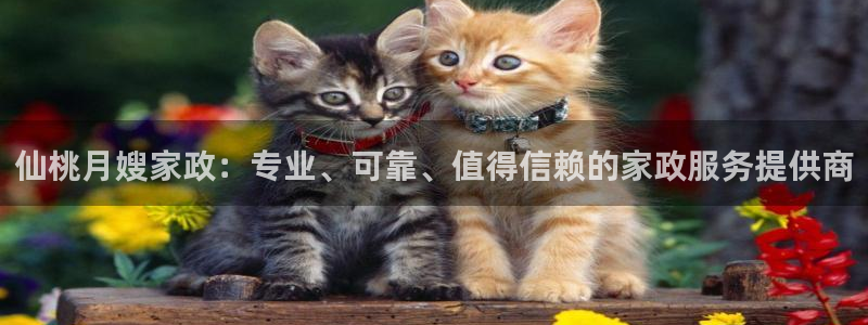 杏悦官方平台是正品吗知乎