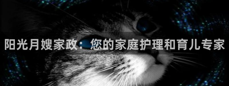 杏悦平台
