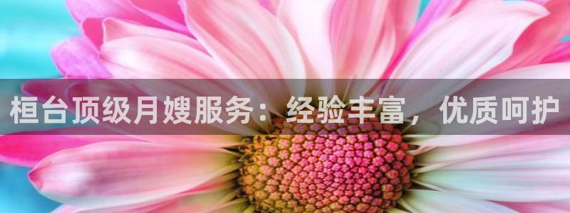 杏悦地址