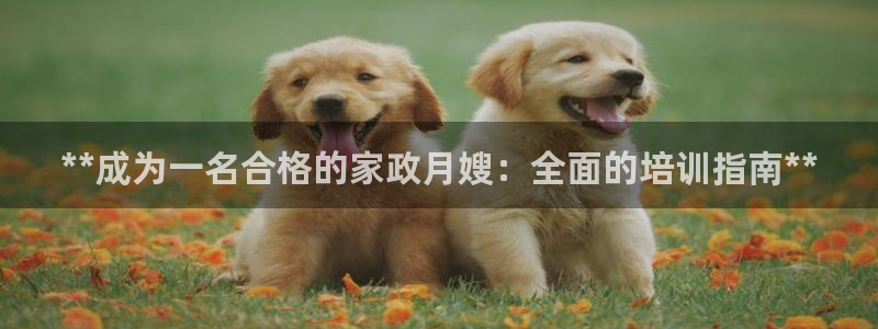 杏悦平台官网注册