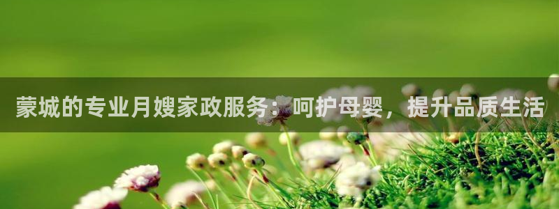 杏悦平台代理怎么做的