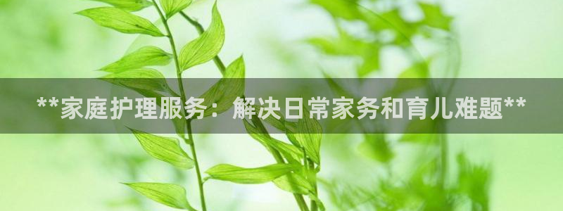 杏悦平台代理