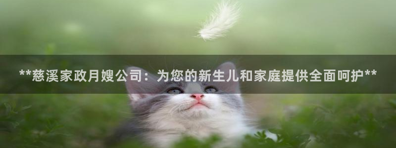 杏悦官方平台是正品吗