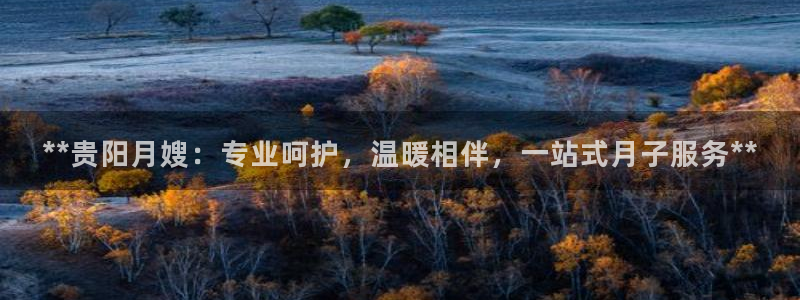 杏悦官方平台官网