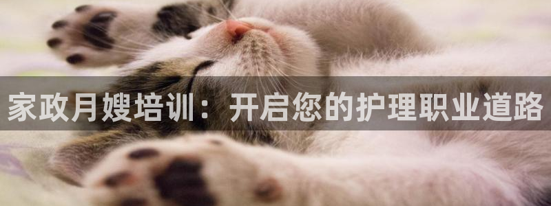 杏悦平台开户地址在哪里
