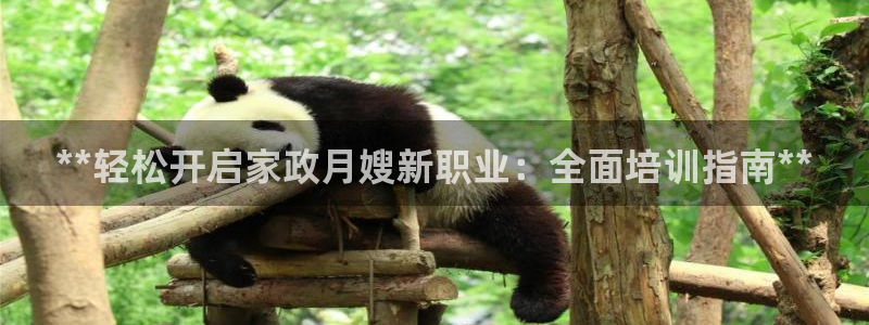 杏悦 -首选推荐平台