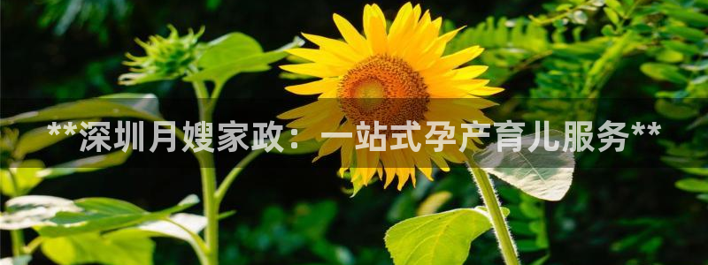 杏悦平台可靠吗是真的吗吗