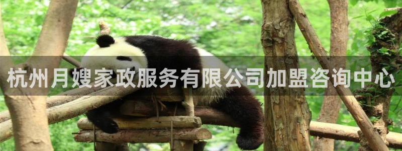 杏悦平台公司介绍