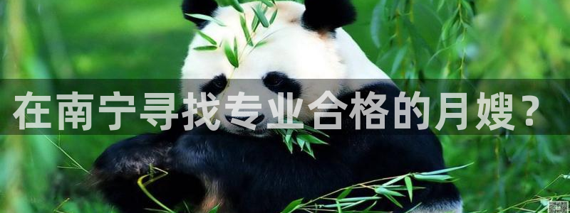 杏悦平台如何